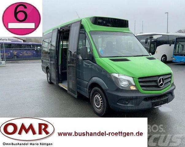 Mercedes-Benz Sprinter 314 Mobility / 316 / 514 / 516 / Rampe Mini buses