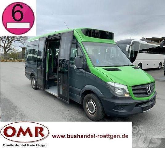 Mercedes-Benz Sprinter 314 Mobility / 316 / 514 / 516 / Rampe Mini buses