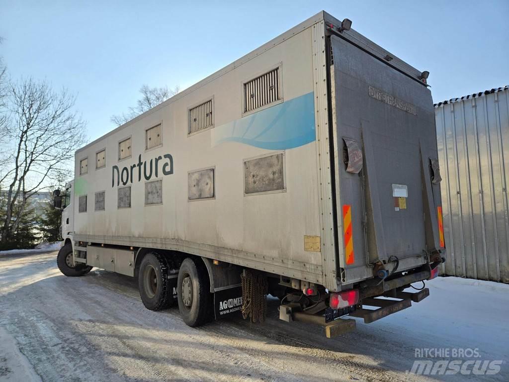 Scania G440 Dieren transport trucks