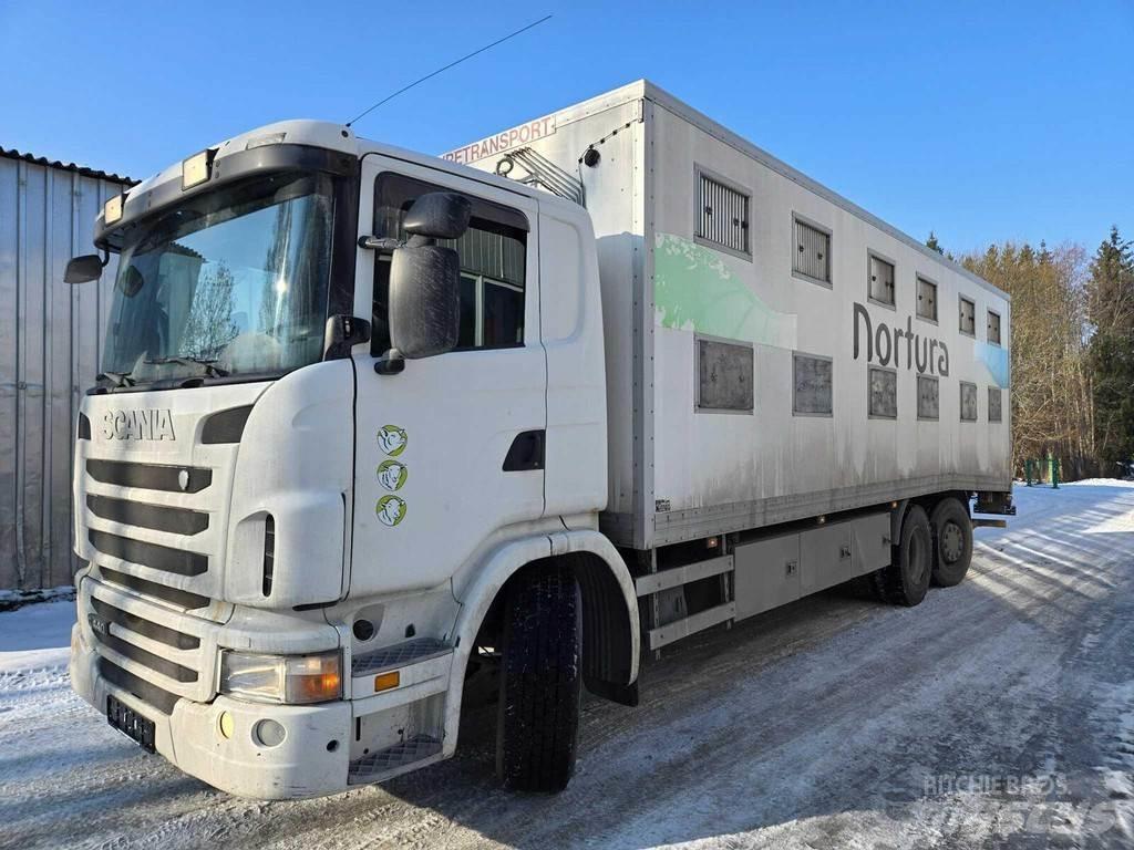 Scania G440 Dieren transport trucks