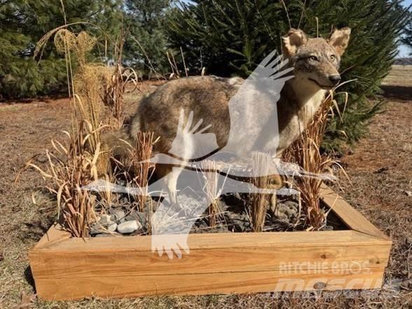 Coyote  Bouw - Overige