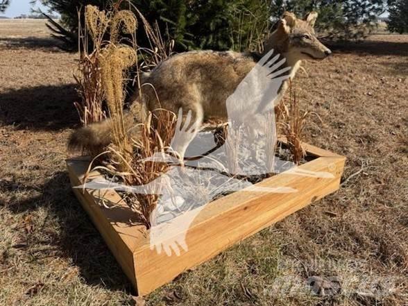 Coyote  Bouw - Overige