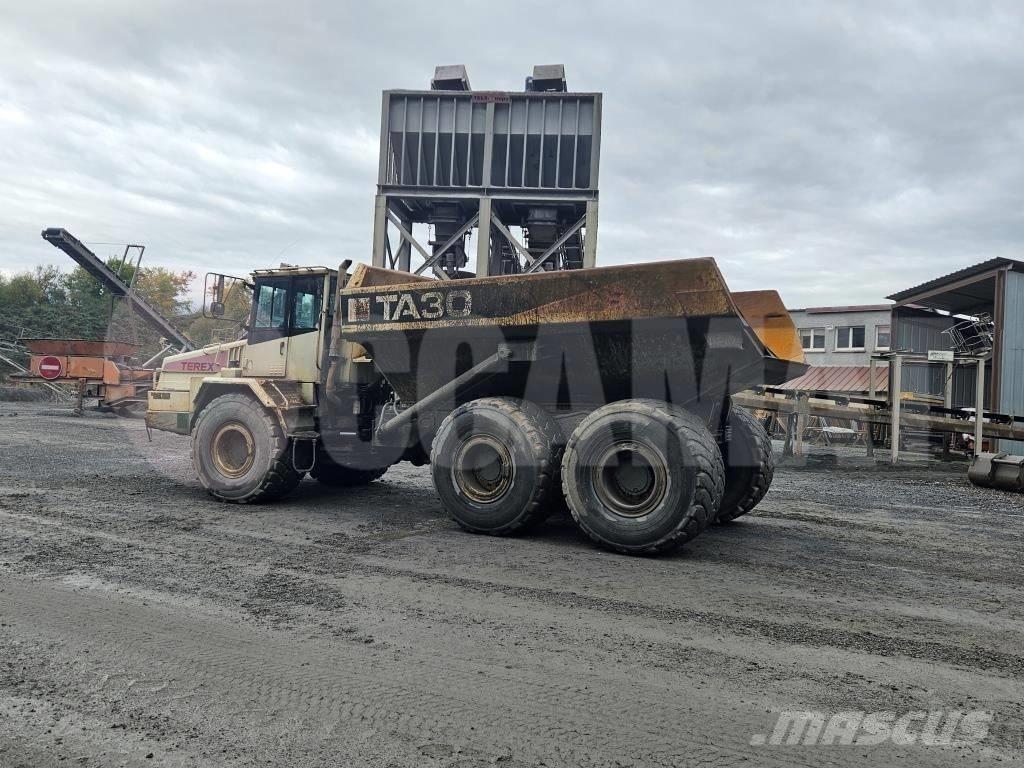 Terex TA 30 Knik dumptrucks