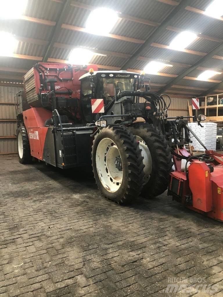 Dewulf RQ 3060 Overige rooimachines