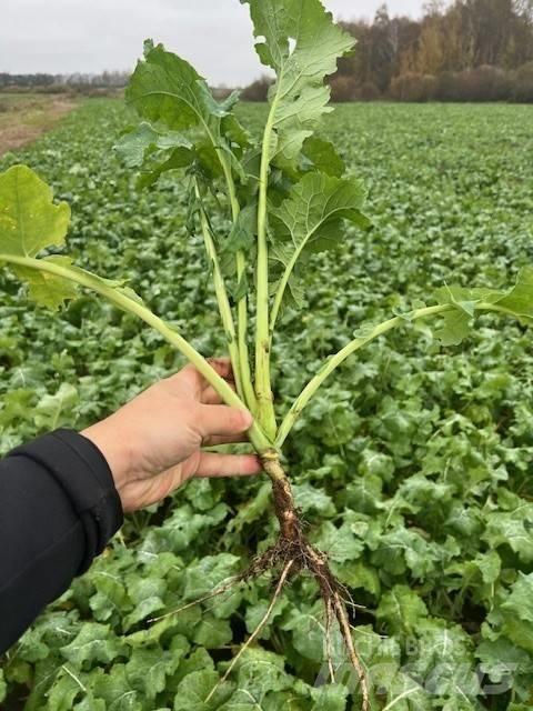 Väderstad Topdown500 Cultivatoren