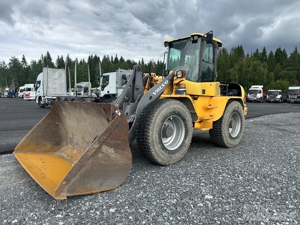 Volvo L45B 4X4 /245 Miniladers