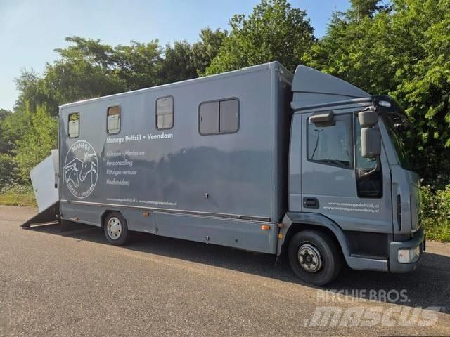 Iveco E 75 Dieren transport trucks