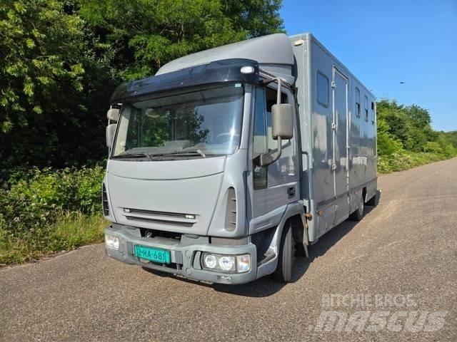 Iveco E 75 Dieren transport trucks
