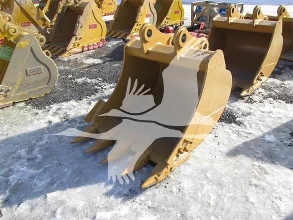 Tiger  Bakken