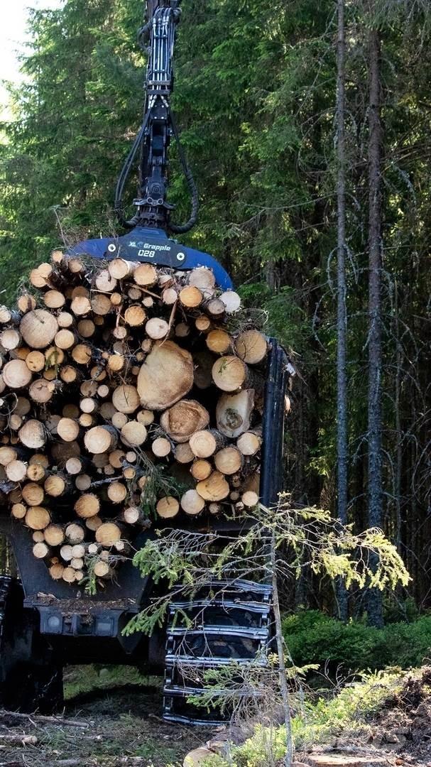  XL Grapple 028 STD Grijpers