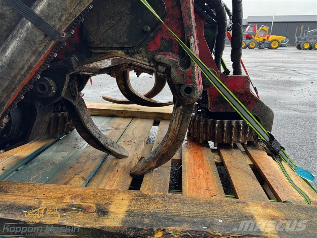 Waratah H413 Boomvelkoppen