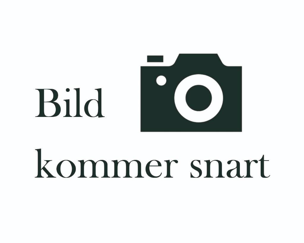 BT LPE250 Meerij pallettruck met platform