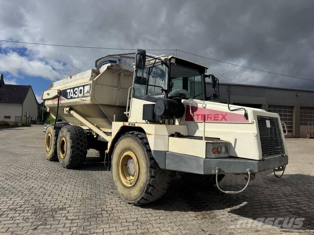 Terex TA 30 Knik dumptrucks