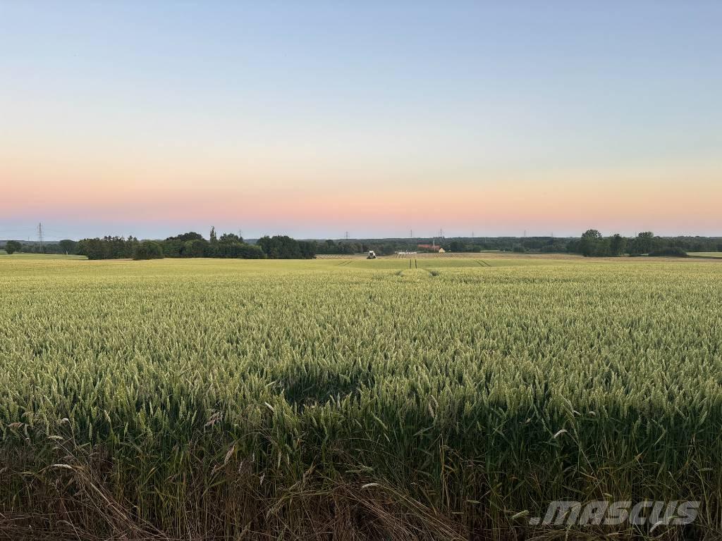 Case IH Maxxum 115 Tractoren