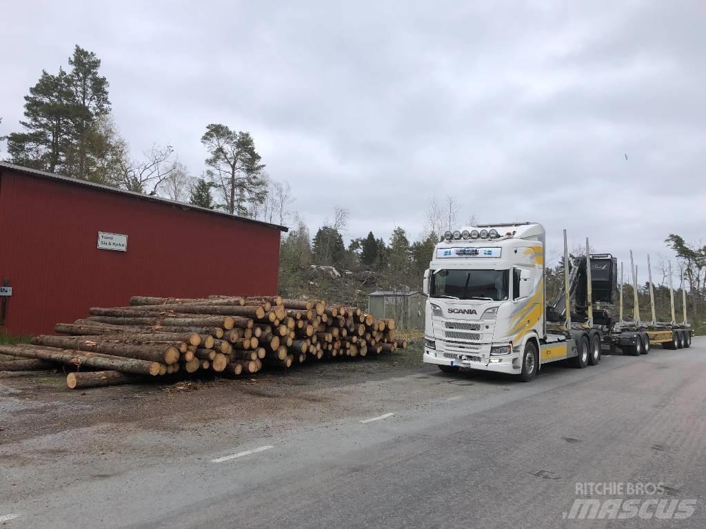Scania R 650 Hout-Bakwagens