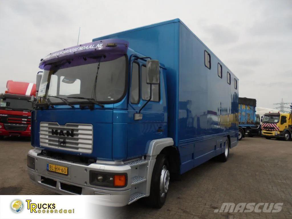MAN 12 .225 + MANUAL Dieren transport trucks