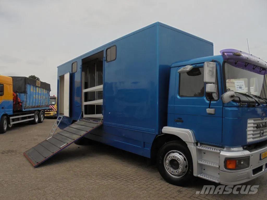 MAN 12 .225 + MANUAL Dieren transport trucks