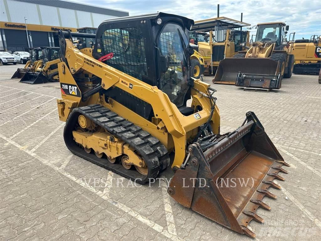 CAT 259D Rupsladers