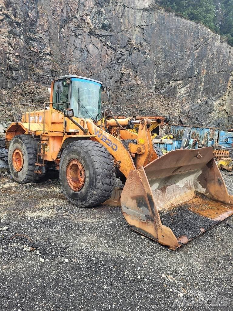 Fiat-Hitachi w230 Wielladers