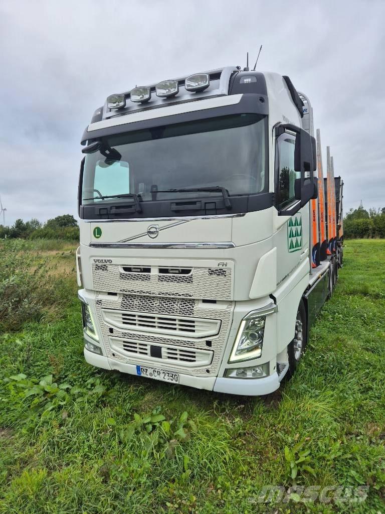 Volvo FH 460 6x4 Hout-Bakwagens