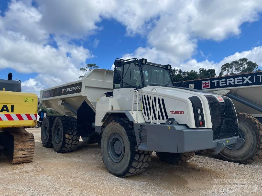Terex TA 300 Knik dumptrucks