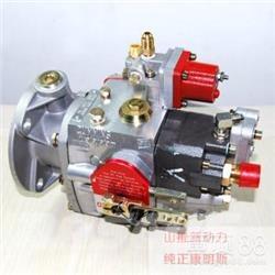 Cummins 4951451-20 Motoren