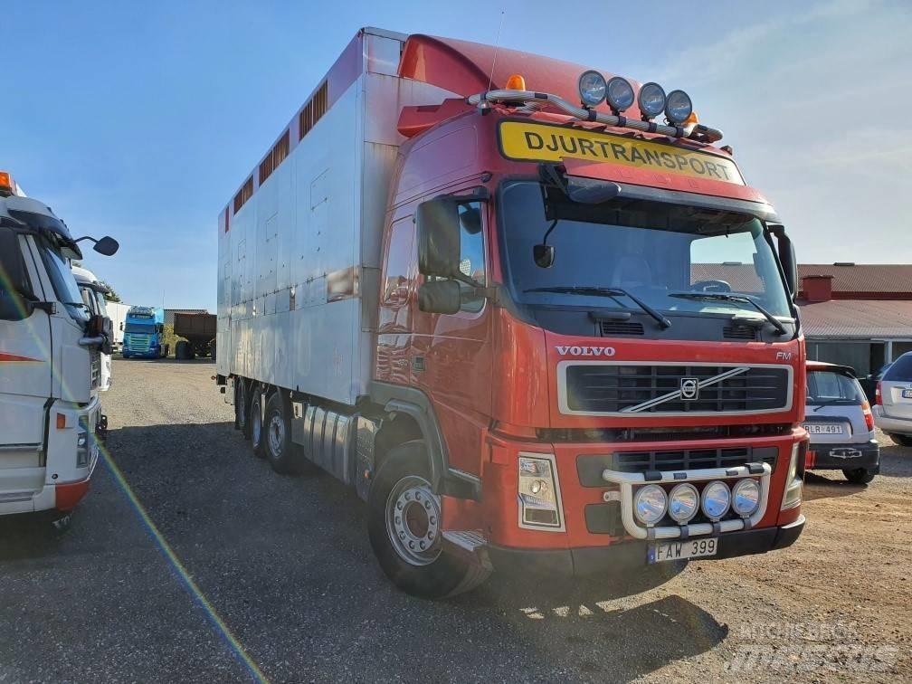 Volvo FM12 Dieren transport trucks