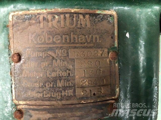  TRIUM QZKS Vandpumpe Waterpompen
