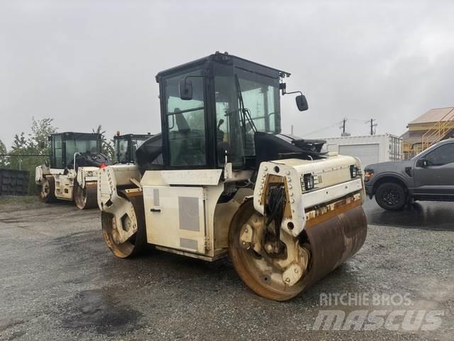 CAT CD54 Duowalsen