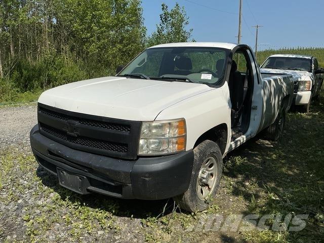 Chevrolet 1500 Bestelwagens met open laadbak
