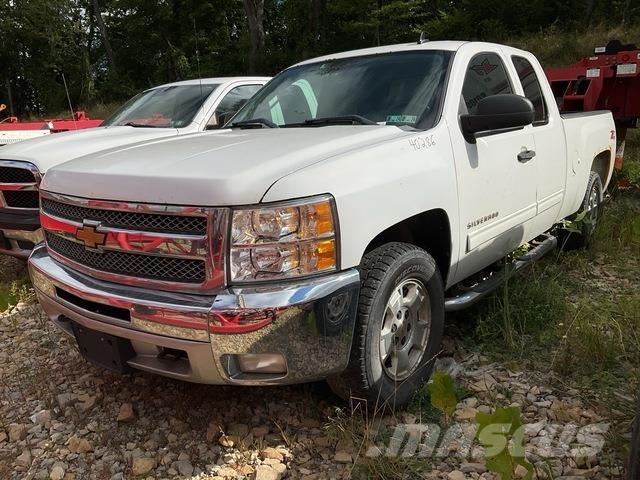 Chevrolet 1500 Bestelwagens met open laadbak