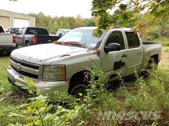 Chevrolet 1500 Bestelwagens met open laadbak