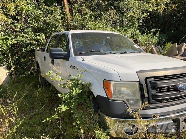 Ford F-150 Bestelwagens met open laadbak