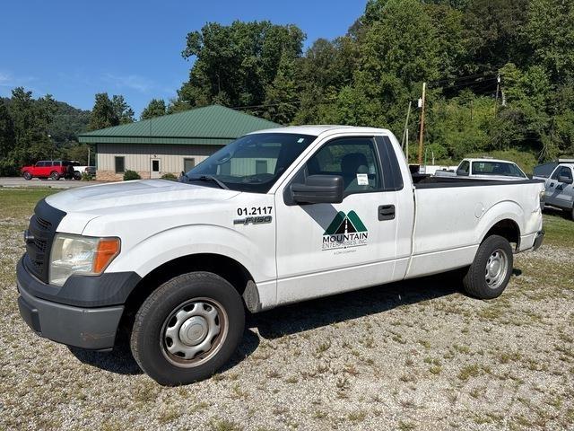 Ford F-150 Bestelwagens met open laadbak