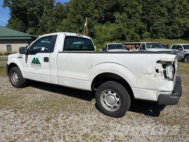 Ford F-150 Bestelwagens met open laadbak