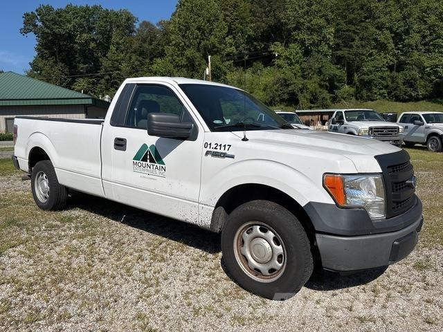 Ford F-150 Bestelwagens met open laadbak