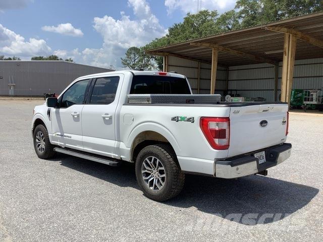 Ford F-150 Bestelwagens met open laadbak