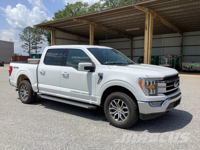 Ford F-150 Bestelwagens met open laadbak