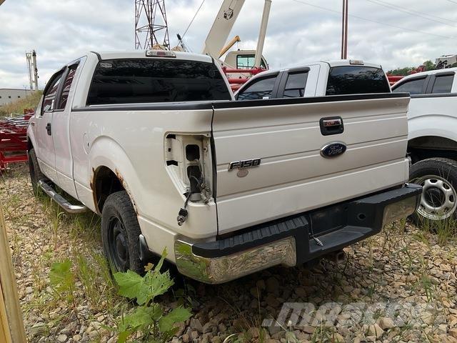 Ford F-150 Bestelwagens met open laadbak