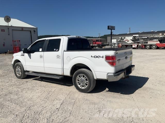 Ford F-150 Bestelwagens met open laadbak