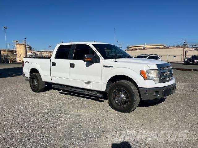 Ford F-150 Bestelwagens met open laadbak