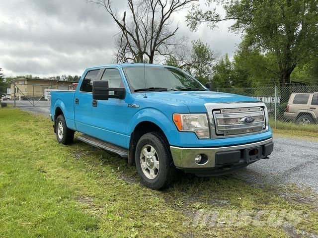 Ford F-150 Bestelwagens met open laadbak