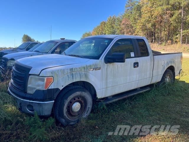 Ford F-150 Bestelwagens met open laadbak