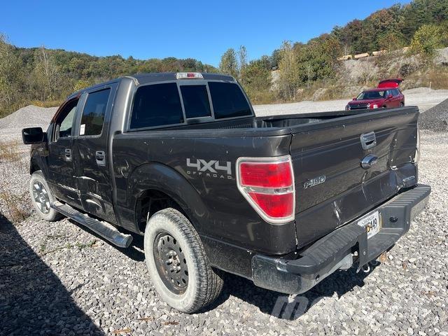 Ford F-150 Bestelwagens met open laadbak