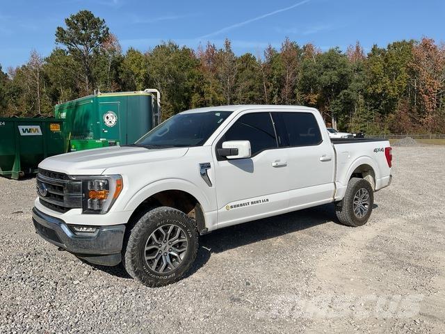 Ford F-150 Bestelwagens met open laadbak