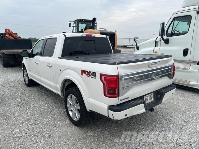 Ford F-150 Bestelwagens met open laadbak