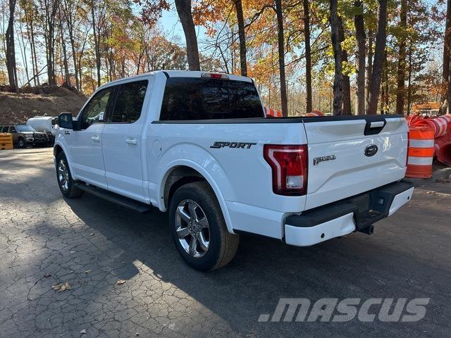 Ford F-150 Bestelwagens met open laadbak