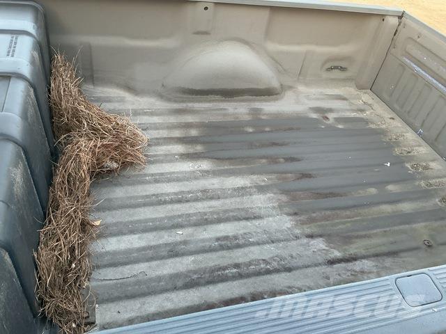 Ford F-150 Bestelwagens met open laadbak