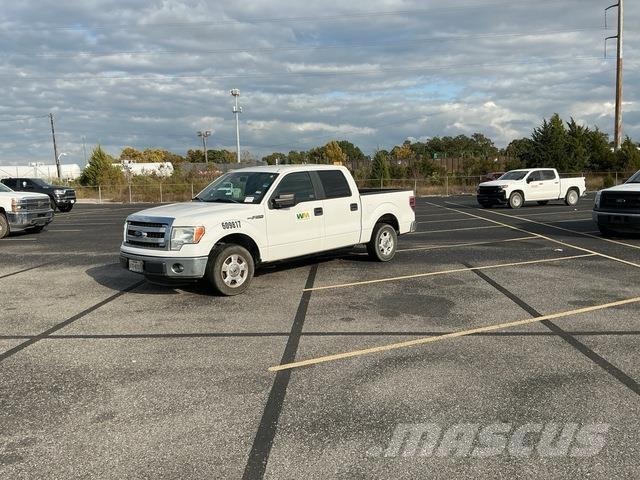 Ford F-150 Bestelwagens met open laadbak