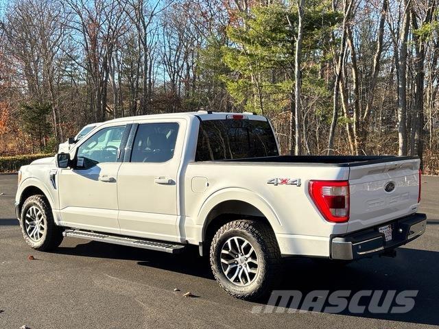 Ford F-150 Bestelwagens met open laadbak